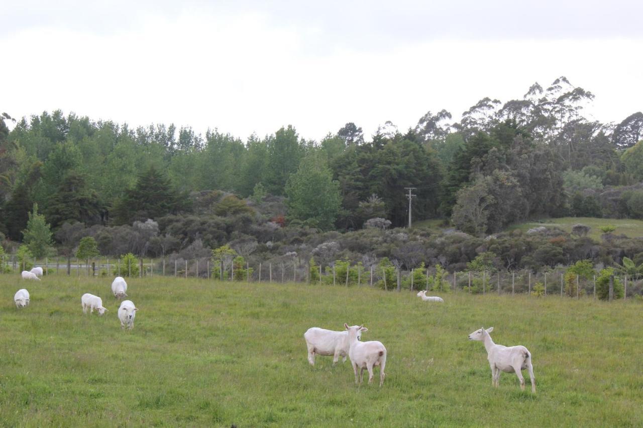 Puriridale B & B Kerikeri Exterior photo